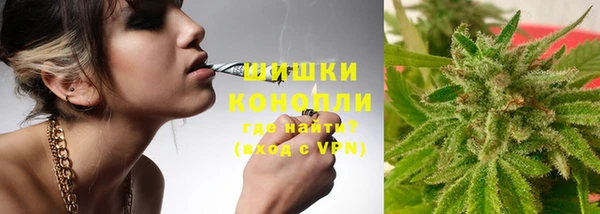 крисы Горнозаводск