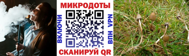 Псилоцибиновые грибы прущие грибы  Павловский Посад 